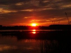 Sergey0115