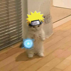 :Negr:_v_:Pene:
