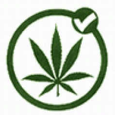 planforeve