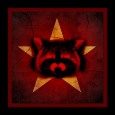 Angry Raccoon