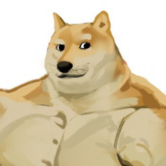 S1MPLE_DOGE