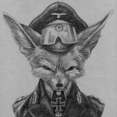MrOrangeFox