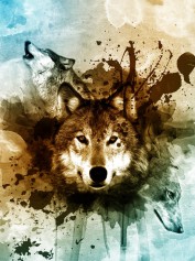 BlackWooolf