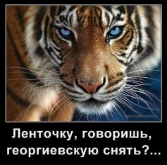 pindyurina@bk.ru