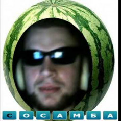 Абобус
