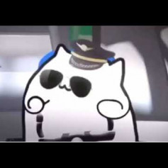 Bongo Cat(FlexAir)