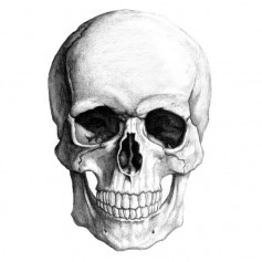 DarkSkull
