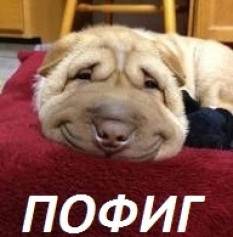 pofig13