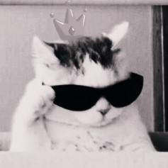 KartmADanya:з