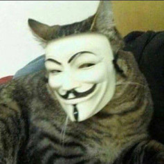 Я живое