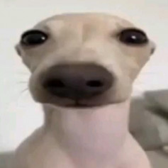 user780855