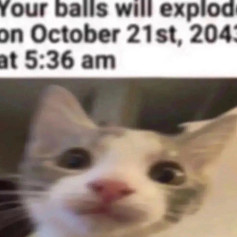 T e P o K u