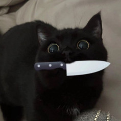 Чешир