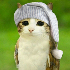 POFIG