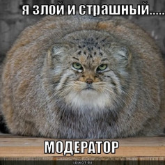 Чешик