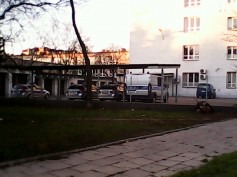 makulka