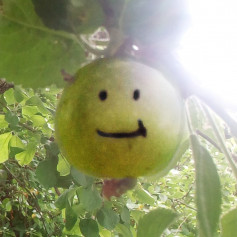 R_M_L