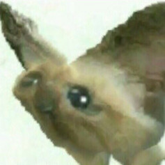 soopchik