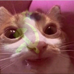 Ussr cat