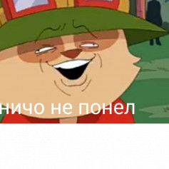 Ni CHO SE
