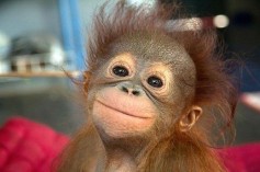 Mr.banan:D