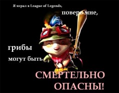 Elffarcher