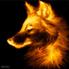 FuryFox