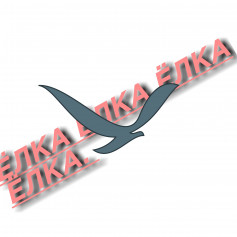 Vici_Vlad_cladgood