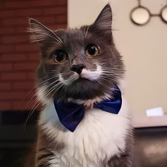 Mr.Norton
