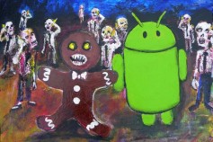 DimaSychev2013@mail.ru