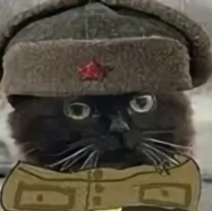 Ushankin
