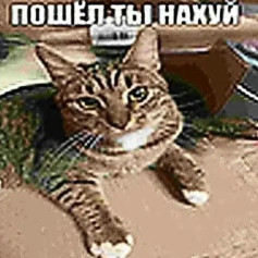 Pshelnah