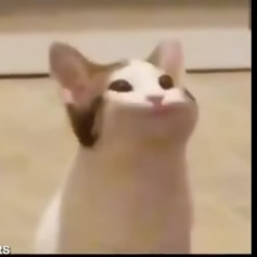 Kedrik