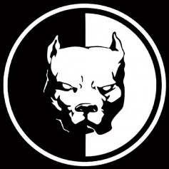 .sas.