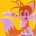 ShadowFox465338
