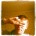mr.kaktus-cuznetzov2015@yandex.ru