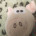 Mester pig
