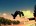 parkour777