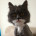 Котэ Геннадий