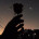 Xolp (official)