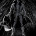TheSpiderNoir