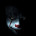 user506977