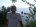 Andreus