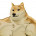 S1MPLE_DOGE