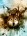 BlackWooolf