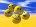 dima.shielomanov13007