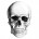 DarkSkull