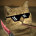 Котэк тут
