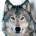 BigWolf