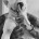 domiNo482592